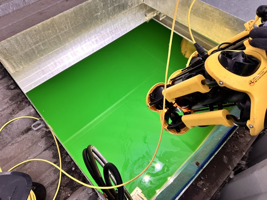 Grünes Wasser durch extreme Kontamination mit Algen